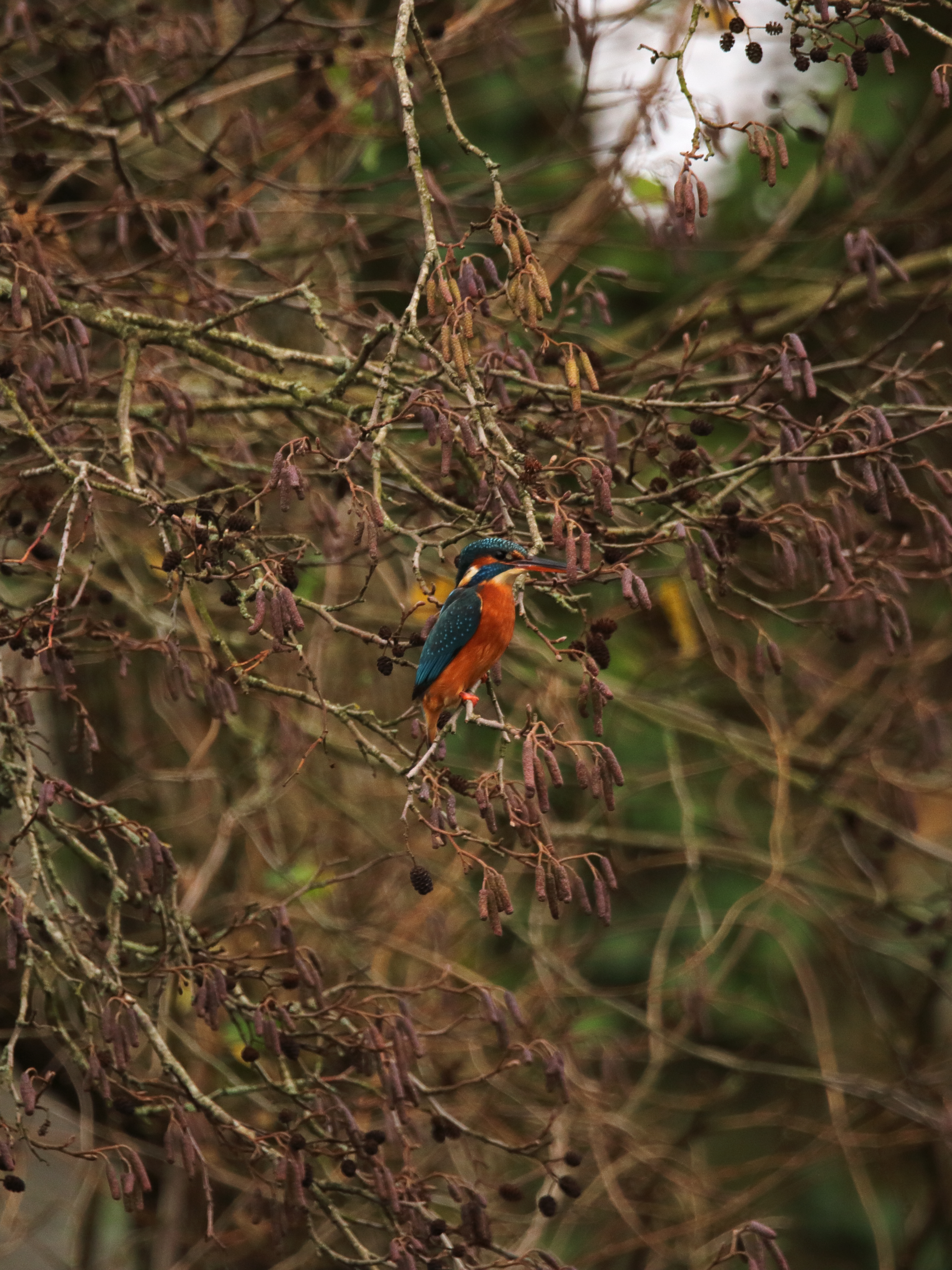 Photography sample 1