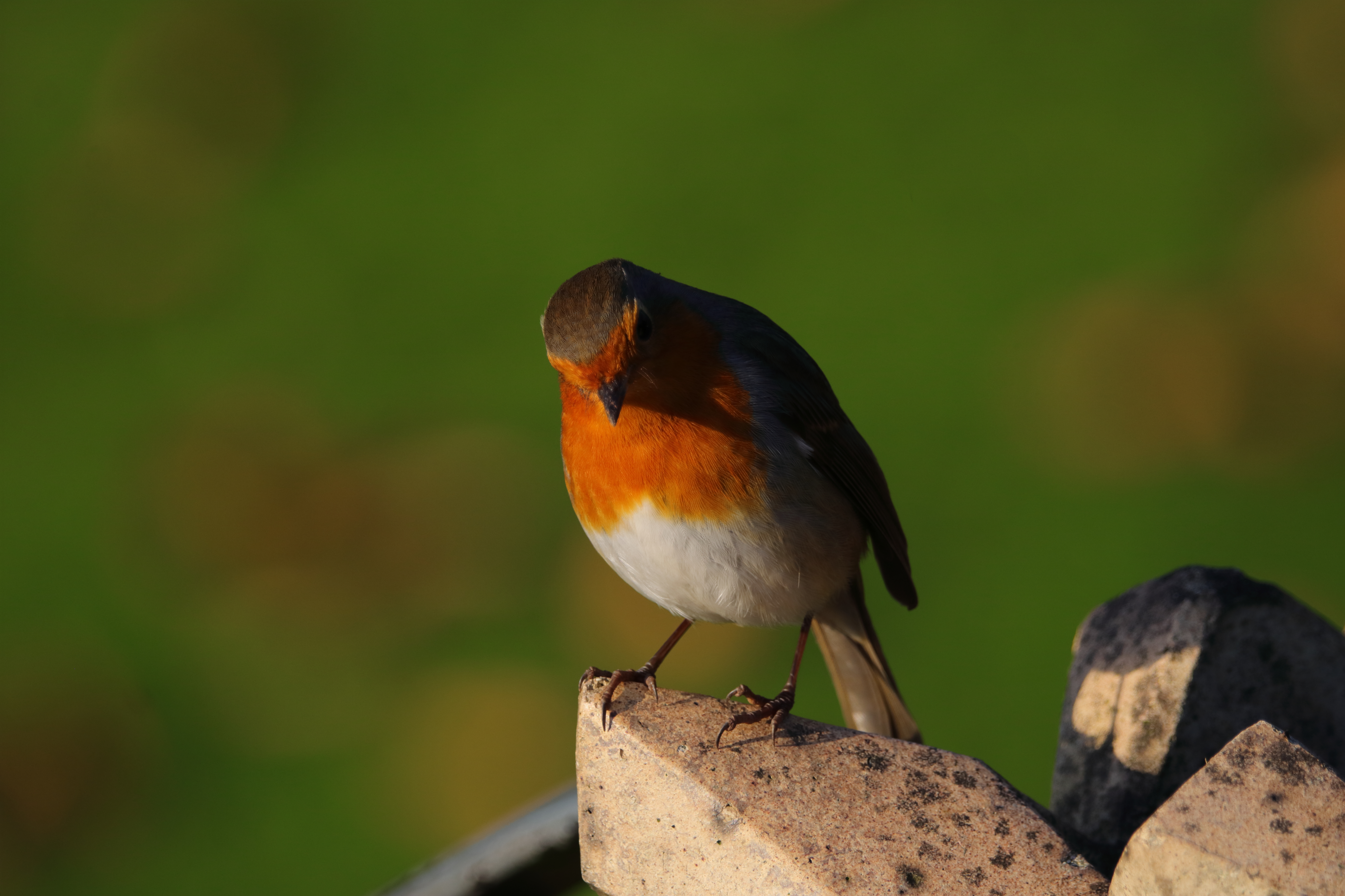 Photography sample 3