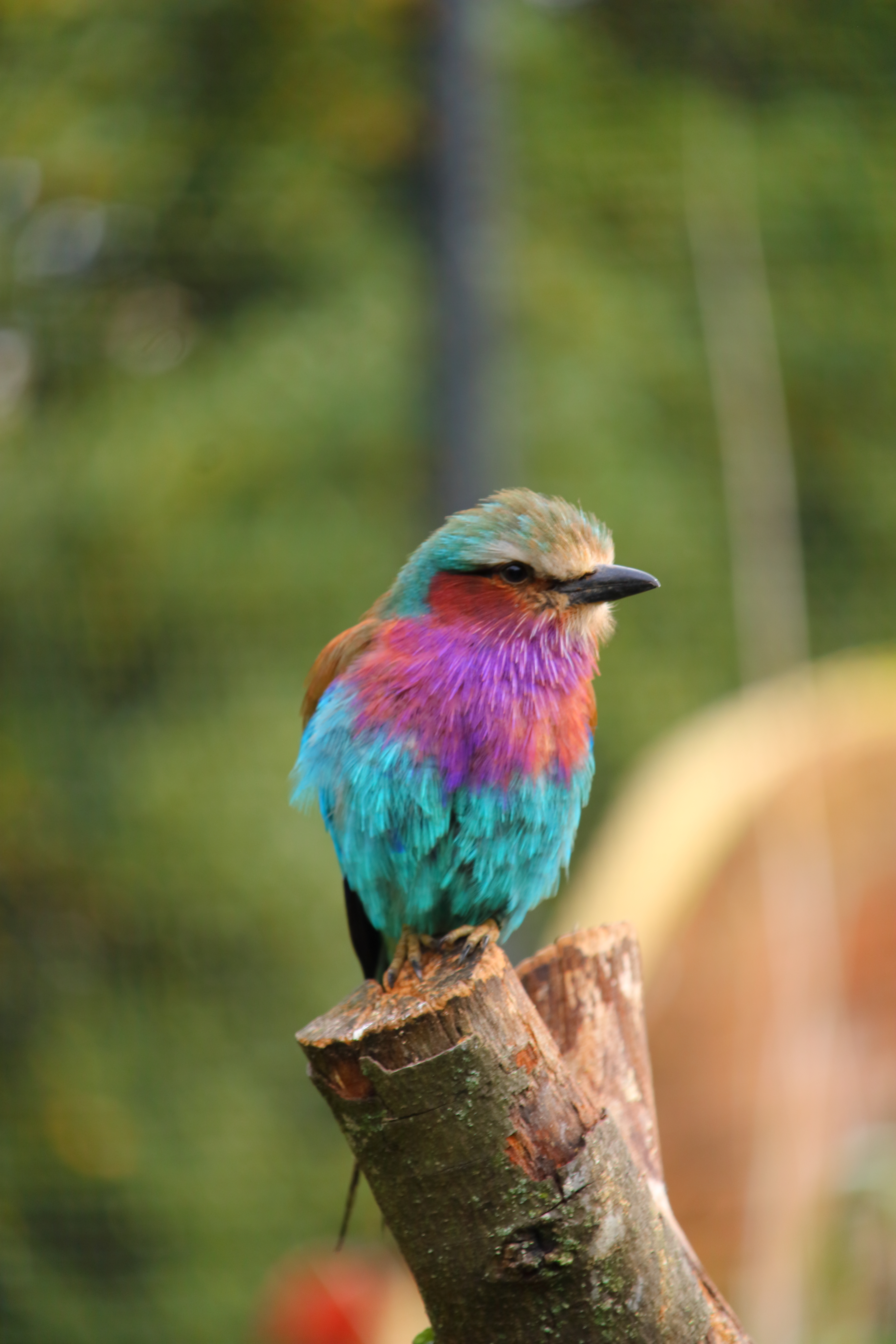 Photography sample 6